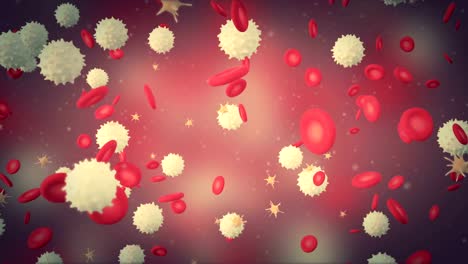 3D-animation-of-a-blood-with-red-cell-white-cell-and-platelet