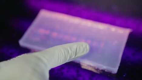 A-close-up-view-of-a-researcher-checking-a-eletrophoresis-gel-under-ultraviolet-light-in-a-genetic-laboratory-at-university