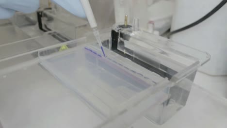 A-handheld-shot-of-a-researcher-pipetting-samples-to-a-eletrophoresis-gel-in-a-genetic-laboratory-at-university