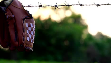 Move-the-view-of-a-baseball-glove-with-the-fence-of-the-field-practice