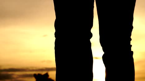 Silhouette-Baseballspieler-übten-am-Abend