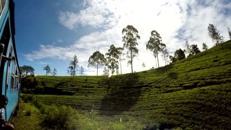 4K-footage-of-a-train-going-through-the-tea-plantations-of-Sri-Lanka