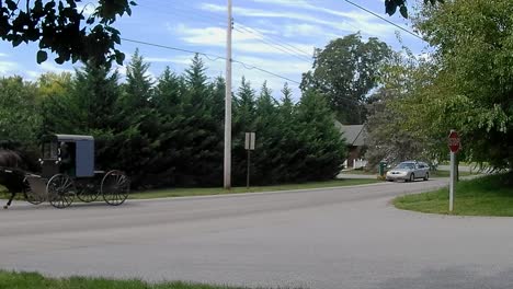 Amish-Transportation-Type-Horse-and-Buggy-Pick-Up