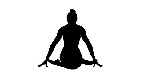 Silhouette-Yoga-girl-practicing-nadi-shodhana-pranayama-or-Breathingin-in-gomukhasana-asana-or-cow-head-pose