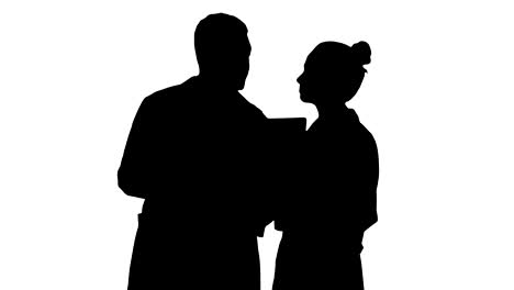 Silhouette-Serious-nice-woman-doctor-and-afro-american-doctor-study-brain-x-ray