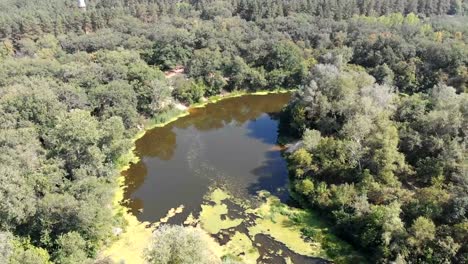 The-river-bed-is-a-top-view-from-the-drone