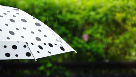 Polka-Dot-Schirm-im-Regen,-Risiko-Management-Konzept.