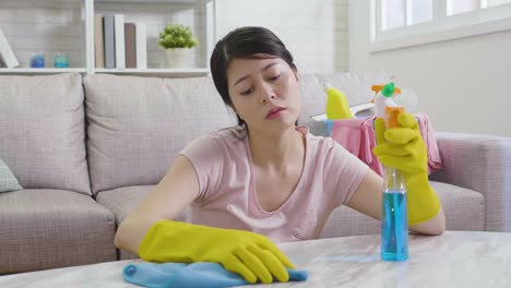 elegant-house-worker-cleaning-apartment