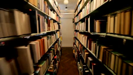 En-la-oscura-biblioteca-de-una-mujer.