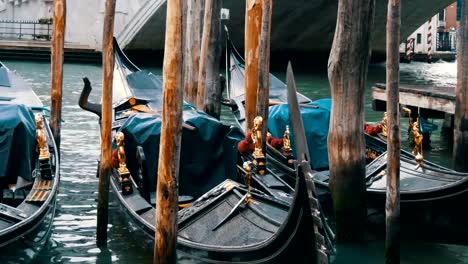 Beautiful-black-gondolas-with-gilded-figures-stand-parked-under-a-world-famous-Rialto-Bridge