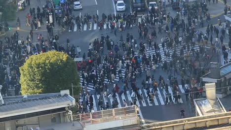 peatonal-en-Tokio-en-camino-de-paso-de-cebra