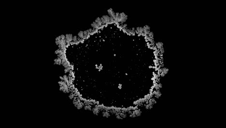 Drop-drying-with-crystals-growth.-Sodium-chloride.