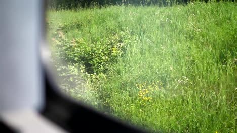 Train-view-through-the-window-on-the-meadow-in-slow-motion-180fps