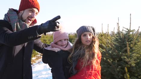 Familie-auf-der-Suche-nach-einem-Weihnachtsbaum