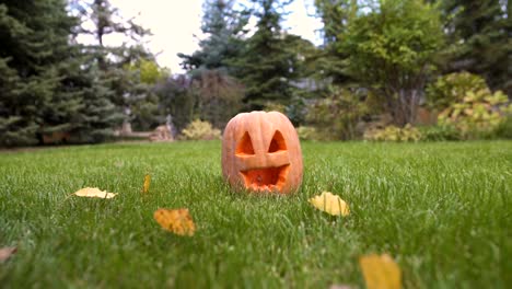 Niña-corriendo-cerca-de-calabaza-Jack-tumbado-en-el-césped,-jugando-y-celebrando-Halloween