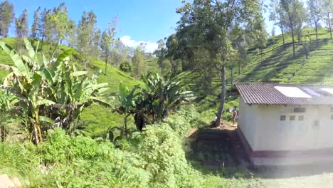 Imágenes-de-4K-de-un-tren-pasando-por-las-plantaciones-de-té-de-Sri-Lanka