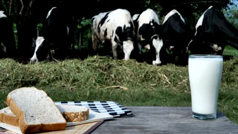 Leche-en-vidrio-y-pan-de-desayuno.--Fondo-de-vacas-en-una-granja.-Alimentos-y-sano-concepto-de-la-leche.-Cámara-lenta