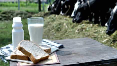 Leche-en-vidrio-y-pan-de-desayuno.--Fondo-de-vacas-en-una-granja.-Alimentos-y-sano-concepto-de-la-leche.-Cámara-lenta