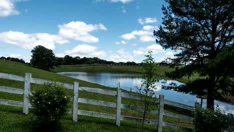 Backyard-with-pond-and-tree-in-clear-sky-sunny-day-timelapse