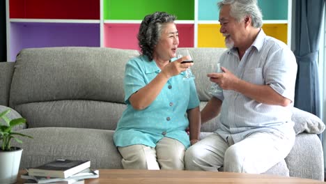 Senior-couple-sitting-and-drinking-red-wine-together-in-living-room.