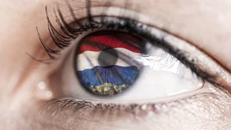 woman-green-eye-in-close-up-with-the-flag-of-Netherlands-in-iris-with-wind-motion.-video-concept