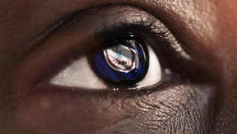 Woman-black-eye-in-close-up-with-the-flag-of-Virginia-state-in-iris,-united-states-of-america-with-wind-motion.-video-concept