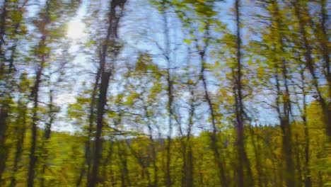 Driving-on-a-mountain-road-on-a-beautiful-autumn-day.-POV-shot-from-the-side-window-of-a-car,-hand-held-camera