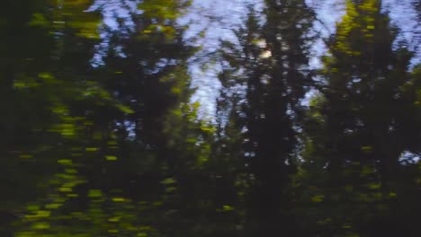 Driving-slowly-on-a-bumpy-mountain-road-on-a-beautiful-autumn-day.-POV-shot-from-the-side-window-of-a-car,-hand-held-camera