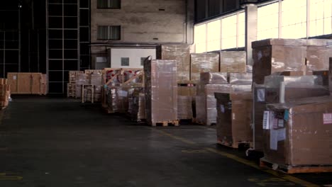 packages-and-boxes-in-the-port-warehouse,-dolly