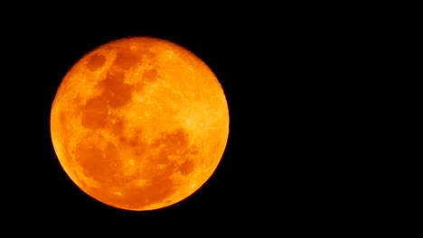 Steigende-Bloodmoon-oder-Roter-Mond-am-dunklen-Himmel