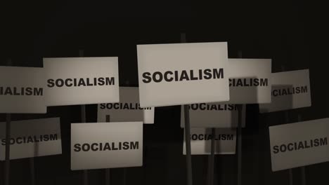 Picket-Sign-Protest-Series---Socialism-Version