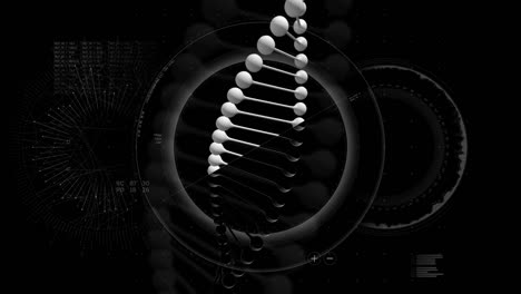 DNA-HUD-Animation