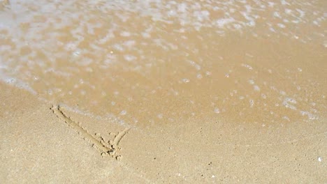 Heart-in-the-sand.