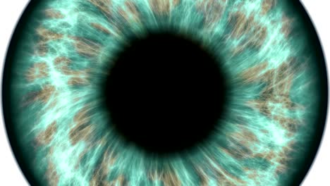 Grüne-Auge-Dilatation-und-contracting.-Sehr-detaillierte-extreme-Nahaufnahme-von-Iris-und-Pupille.