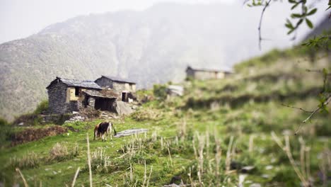 Pueblo-tranquilo-en-la-ladera-de-las-montañas-del-Himalaya