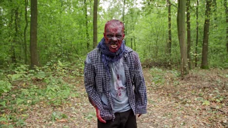 Zombies-sind-Fuß-durch-den-Wald.