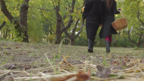 Zwei-Frauen-laufen-im-Herbstwald-weg.