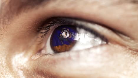 Man-with-brown-eye-in-close-up,-the-flag-of-Kentucky-state-in-iris,-united-states-of-america-with-wind-motion.-video-concept