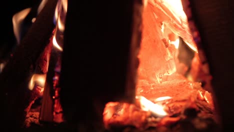 fire-burning-at-night,-closeup,-campfire-on-dark-autumn-night-warmth