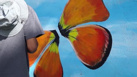 Mural-painter-paints-butterfly-in-color-on-school-wall.-time-lapse