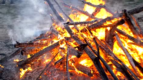 Großes-Lagerfeuer-aus-Zweigen-brennen-in-der-Nacht-im-Wald