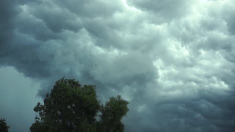 Fuerte-viento-agitando-los-árboles.-Vista-de-la-iluminación-en-las-nubes-de-tormenta.