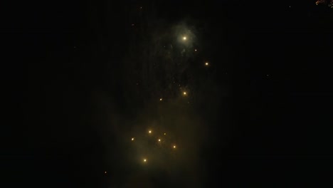 Fireworks-illuminating-the-sky-and-the-trees-in-slow-motion