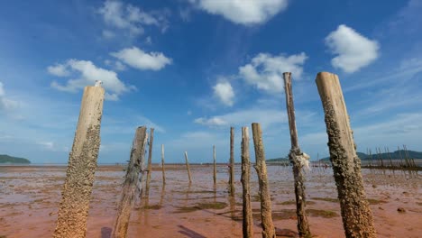 Clouds-and-the-shadow-in-sunny-day--,low-angle-view-time-lapse.