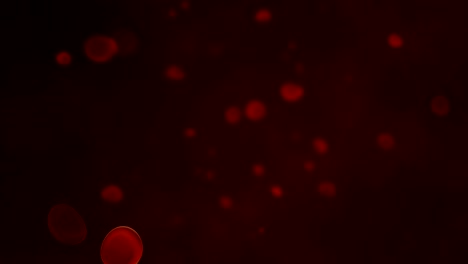 Red-blood-cells-in-travel-an-artery