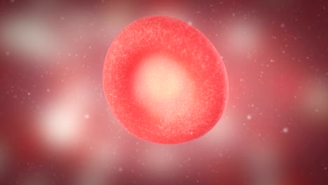 3D-animation-of-red-blood-cell