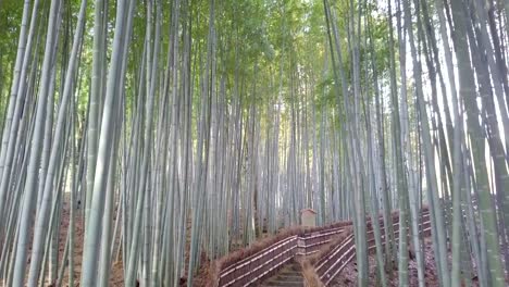 walkway-bamboo-tunnel-named-Arashiyama-bamboo-forest-in-Kyoto,-Tourist-landmark-of-Japan