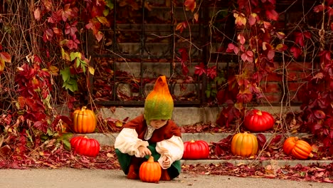 Niedliche-Mädchen-in-einem-Gnome-Kostüm-sammelt-Kürbisse-im-Herbst-im-Garten