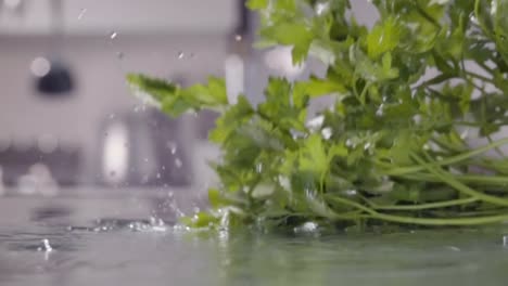 Falling-of-parsley-into-the-wet-table.-Slow-motion-480-fps