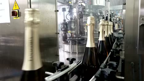 The-line-for-filling-and-sealing-the-conveyor-in-a-factory-of-champagne